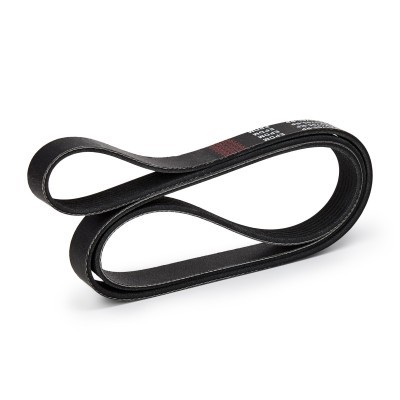 Pasek Klinowy Wielorowkowy RIDEX 305P0323P 305P0323P - foto 8