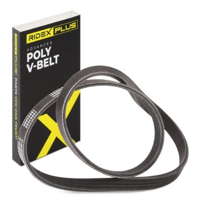 Pasek Klinowy Wielorowkowy RIDEX 305P0553P 305P0553P - foto 2