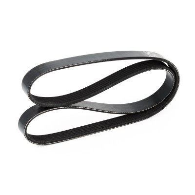 Pasek Klinowy Wielorowkowy RIDEX 305P0118 305P0118 - foto 4