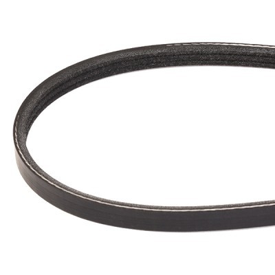 Pasek Klinowy Wielorowkowy RIDEX 305P0292 305P0292 - foto 3