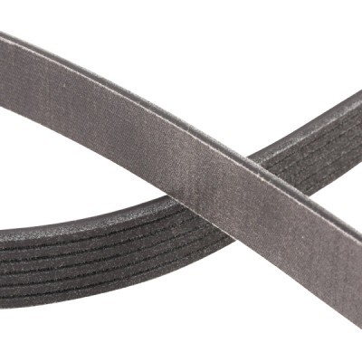 Pasek Klinowy Wielorowkowy RIDEX 305P0110P 305P0110P - foto 5