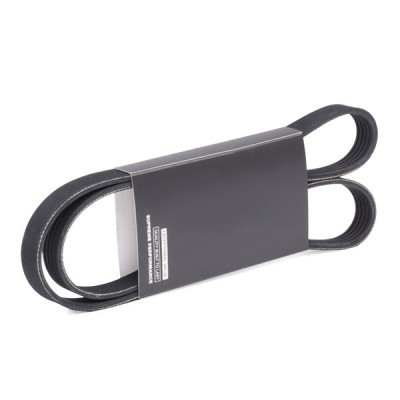 Pasek Klinowy Wielorowkowy RIDEX 305P0474 305P0474 - foto 2