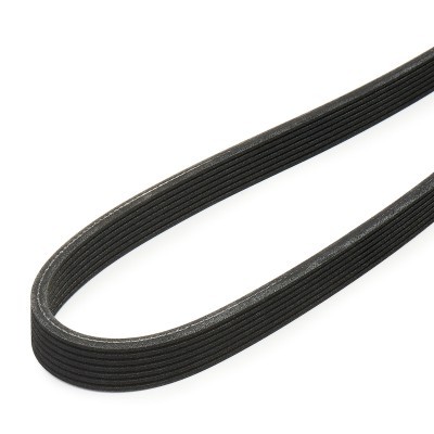 Pasek Klinowy Wielorowkowy RIDEX 305P0568 305P0568 - foto 4
