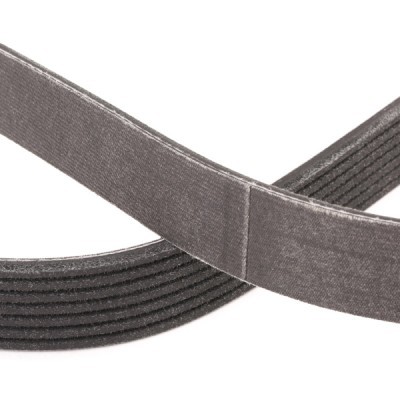Pasek Klinowy Wielorowkowy RIDEX 305P0344P 305P0344P - foto 5