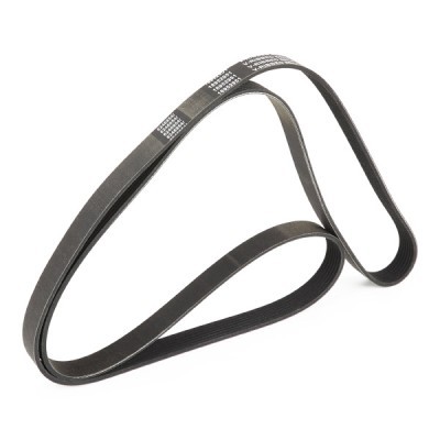 Pasek Klinowy RIDEX 305P0362P 305P0362P - foto 3