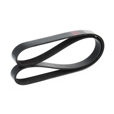 Pasek Klinowy Wielorowkowy RIDEX 305P0057 305P0057 - foto 4