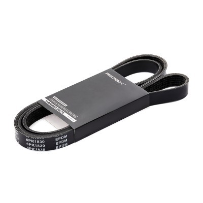 Pasek Klinowy Wielorowkowy RIDEX 305P0338 305P0338 - foto 2