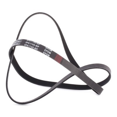 Pasek Klinowy Wielorowkowy RIDEX 305P0160P 305P0160P - foto 3