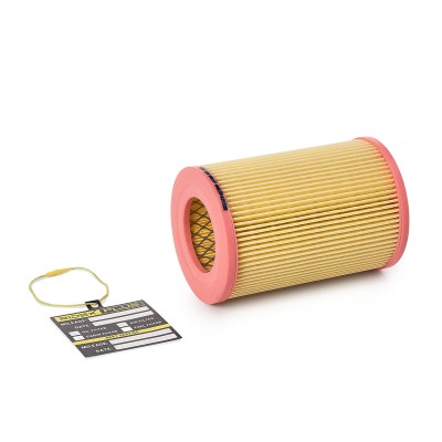 Filtr Powietrza RIDEX 8A0137P 8A0137P - foto 2