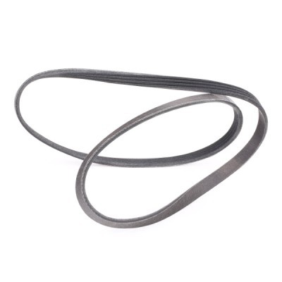 Pasek Klinowy Wielorowkowy RIDEX 305P0022P 305P0022P - foto 3
