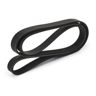 Pasek Klinowy Wielorowkowy RIDEX 305P0308P 305P0308P - foto 4
