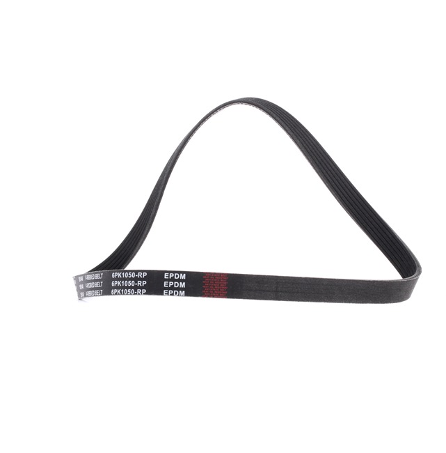 Pasek Klinowy Wielorowkowy RIDEX 305P0055P 305P0055P - foto 1