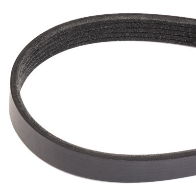 Pasek Klinowy Wielorowkowy RIDEX 305P0369 305P0369 - foto 3