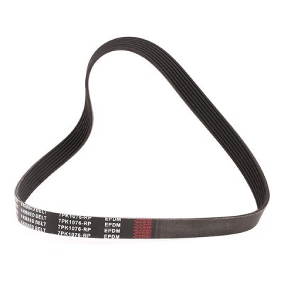 Pasek Klinowy Wielorowkowy RIDEX 305P0186P 305P0186P - foto 2