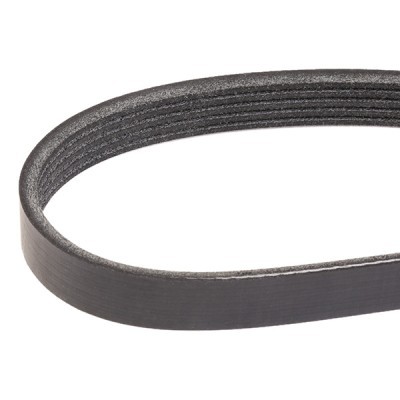 Pasek Klinowy Wielorowkowy RIDEX 305P0394 305P0394 - foto 3