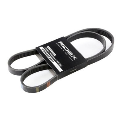 Pasek Klinowy Wielorowkowy RIDEX 305P0249 305P0249 - foto 2