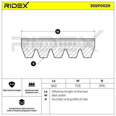 Pasek Klinowy Wielorowkowy RIDEX 305P0029 305P0029 - foto 3