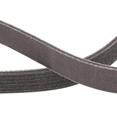 Pasek Klinowy Wielorowkowy RIDEX 305P0365P 305P0365P - foto 5