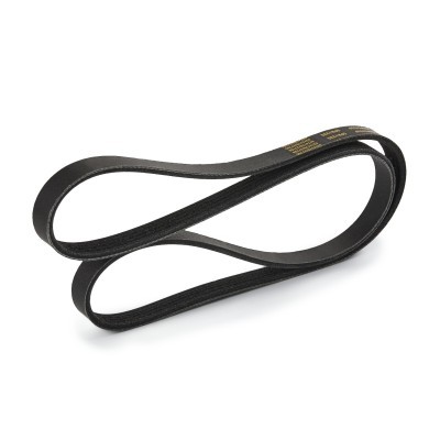 Pasek Klinowy Wielorowkowy RIDEX 305P0433P 305P0433P - foto 4
