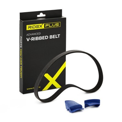 Pasek Klinowy Wielorowkowy RIDEX 305P0498P 305P0498P - foto 2