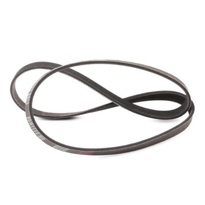 Pasek Klinowy Wielorowkowy RIDEX 305P0242P 305P0242P - foto 3