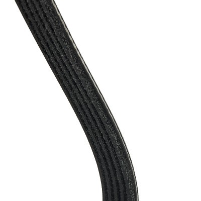 Pasek Klinowy Wielorowkowy RIDEX 305P0044P 305P0044P - foto 5