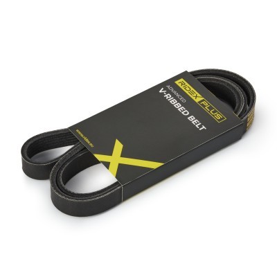 Pasek Klinowy Wielorowkowy RIDEX 305P0322P 305P0322P - foto 2
