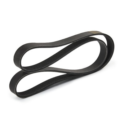 Pasek Klinowy Wielorowkowy RIDEX 305P0341P 305P0341P - foto 3
