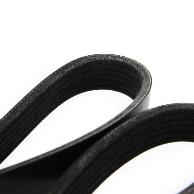 Pasek Klinowy Wielorowkowy RIDEX 305P0141 305P0141 - foto 5
