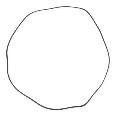 Pasek Klinowy Wielorowkowy RIDEX 305P0229P 305P0229P - foto 4