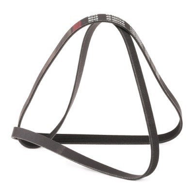 Pasek Klinowy Wielorowkowy RIDEX 305P0095P 305P0095P - foto 3