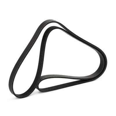 Pasek Klinowy Wielorowkowy RIDEX 305P0647P 305P0647P - foto 3