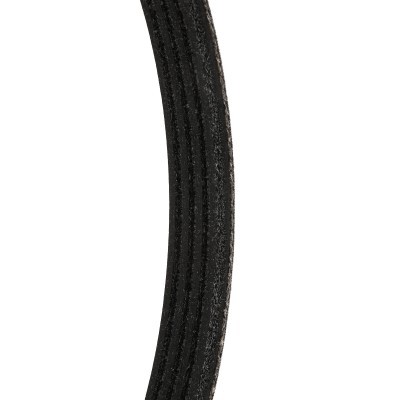 Pasek Klinowy Wielorowkowy RIDEX 305P0606P 305P0606P - foto 5