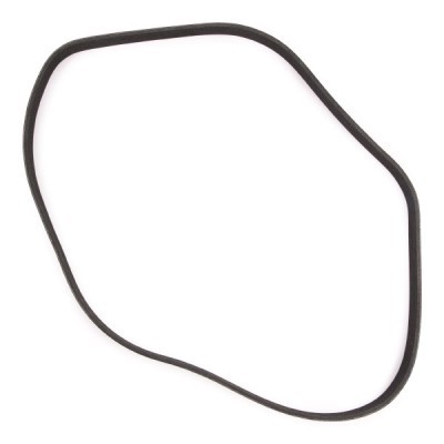Pasek Klinowy Wielorowkowy RIDEX 305P0154P 305P0154P - foto 5
