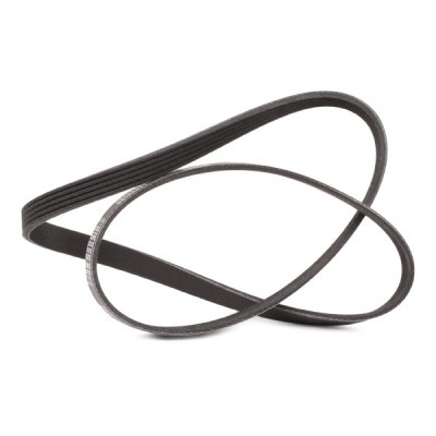 Pasek Klinowy Wielorowkowy RIDEX 305P0038P 305P0038P - foto 3