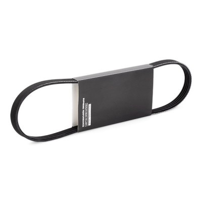 Pasek Klinowy Wielorowkowy RIDEX 305P0479 305P0479 - foto 2