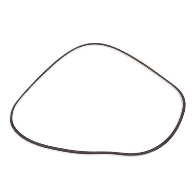 Pasek Klinowy Wielorowkowy RIDEX 305P0186P 305P0186P - foto 3