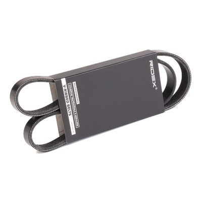 Pasek Klinowy Wielorowkowy RIDEX 305P0164 305P0164 - foto 2