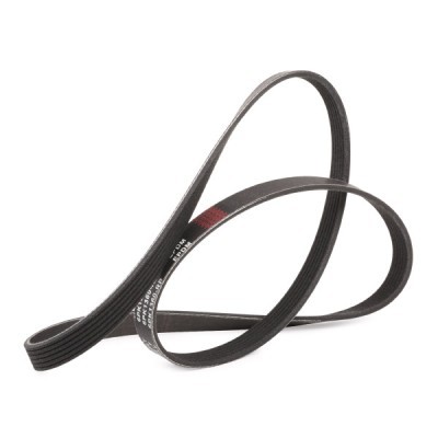 Pasek Klinowy Wielorowkowy RIDEX 305P0127P 305P0127P - foto 3