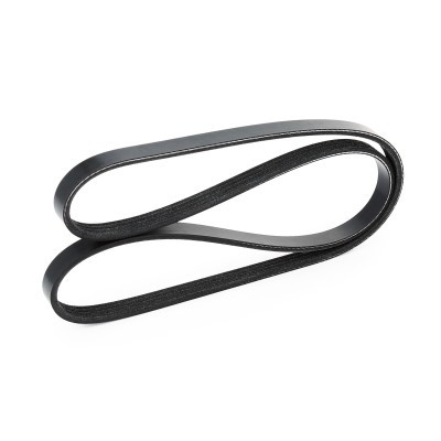 Pasek Klinowy Wielorowkowy RIDEX 305P0154 305P0154 - foto 4
