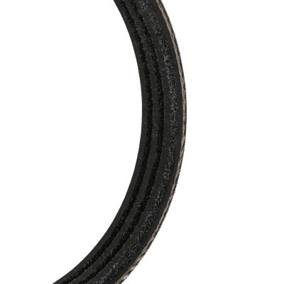 Pasek Klinowy Wielorowkowy RIDEX 305P0504P 305P0504P - foto 4