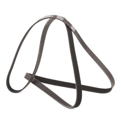 Pasek Klinowy Wielorowkowy RIDEX 305P0158P 305P0158P - foto 3