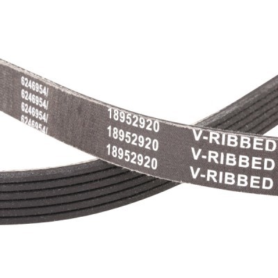 Pasek Klinowy Wielorowkowy RIDEX 305P0158P 305P0158P - foto 5