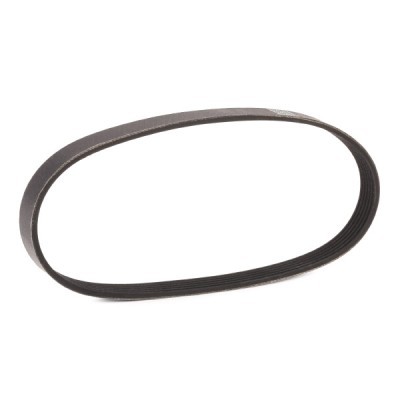 Pasek Klinowy Wielorowkowy RIDEX 305P0615P 305P0615P - foto 3