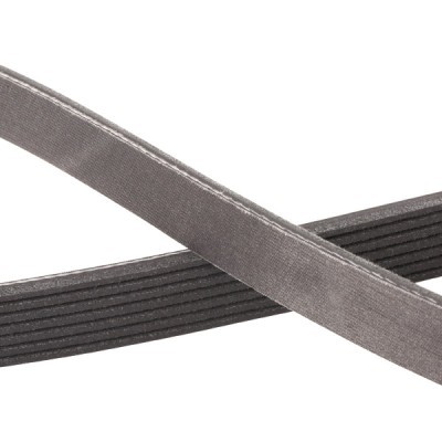 Pasek Klinowy Wielorowkowy RIDEX 305P0109P 305P0109P - foto 5
