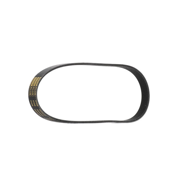 Pasek Klinowy Wielorowkowy RIDEX 305P0236P 305P0236P - foto 1