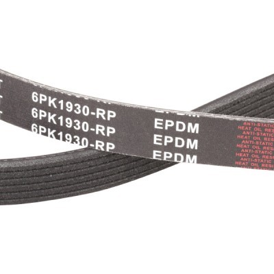 Pasek Klinowy Wielorowkowy RIDEX 305P0069P 305P0069P - foto 5