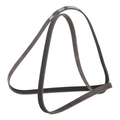 Pasek Klinowy Wielorowkowy RIDEX 305P0105P 305P0105P - foto 3