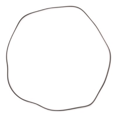 Pasek Klinowy Wielorowkowy RIDEX 305P0162P 305P0162P - foto 4