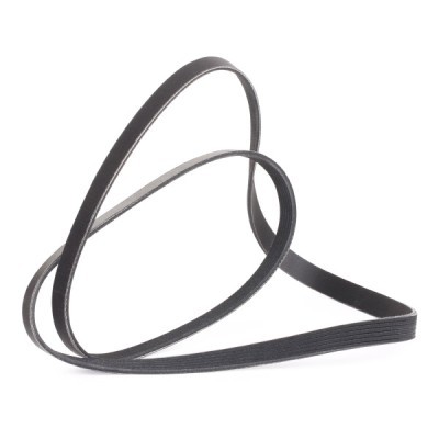 Pasek Klinowy Wielorowkowy RIDEX 305B0286P 305B0286P - foto 3